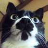 Thumb_img_20130316_090100