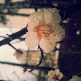 Small_20140226_174658