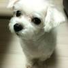 Thumb_img_1760