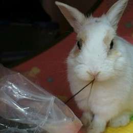 Small_20130212080725575