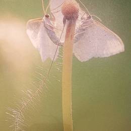 Small_img_20140208_141847