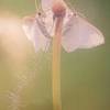 Thumb_img_20140208_141847